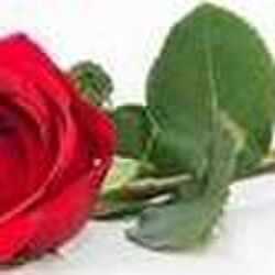 Jean-Paul PONSARD à Marloie: avis de décès