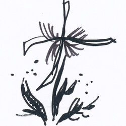 Joëlle GRAVELINE à Gaurain-Ramecroix: avis de décès