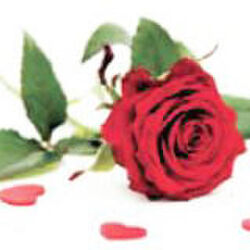 Willy VANDEVANDEL à -: avis de décès