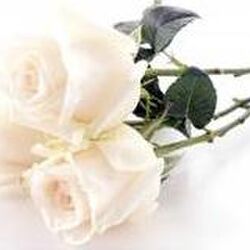 Monique DEWEZ à Tintange: avis de décès