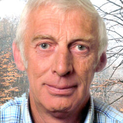 Albert BASTIN à Bertogne: avis de décès