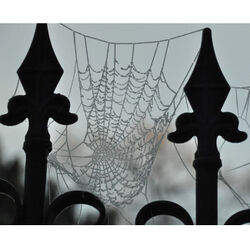 Ghislain BOUCHAT à Verviers: avis de décès