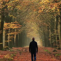 Joseph DEFOY à Bastogne: avis de décès
