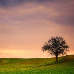 Marcelle GILSON à Wanlin: avis de décès