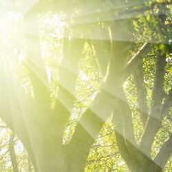 Albert BEAUVE à Bastogne: avis de décès