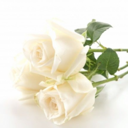 Marie-Christine GÉRIN à Tournai: avis de décès