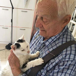 Prudent PILLOY à -: avis de décès