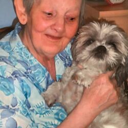 Jeannette DESMET à Péronnes-Lez-Antoing: avis de décès