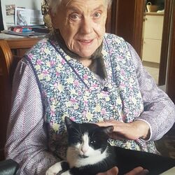 Jeanine DECONINCK à Tournai: avis de décès