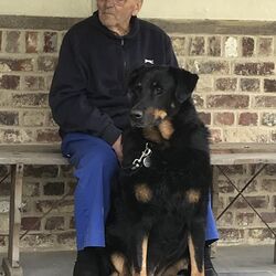 Willy Hustache à Wodecq: avis de décès