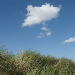 Cédric Mertens à : avis de décès