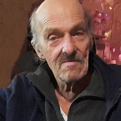 Louis VILAIN à Geraardsbergen: avis de décès