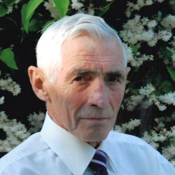 André WILLE à Velaines: avis de décès