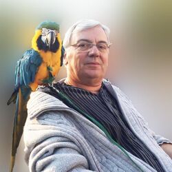 Armand ESTIEVENART à Namur: avis de décès