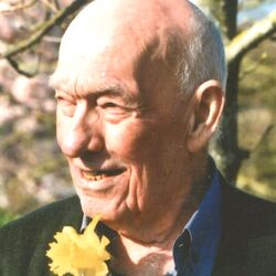Auguste WARNANT à Sorinnes: avis de décès