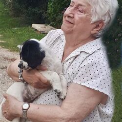 Marcelle VILAIN à Tournai: avis de décès