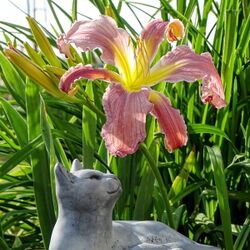 Albertine PONCELEY à Vivy: avis de décès