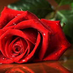 Annie Dehez à Bastogne: avis de décès