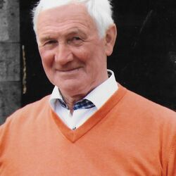 Félix RABEUX à Sorinnes: avis de décès