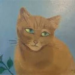 Yves DEVILLE à Saint-Mard: avis de décès