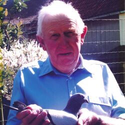 André DRUMEZ à Bruyelle: avis de décès