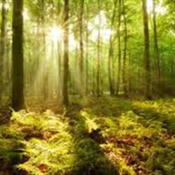 Susy CASTAGNE à Arlon: avis de décès