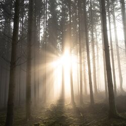 Jean Winkin à Limerlé: avis de décès