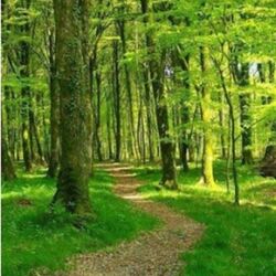 José SPRIMONT à Molenbeek-Saint-Jean: avis de décès