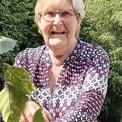 Josée Noerdinger à Gouvy: avis de décès