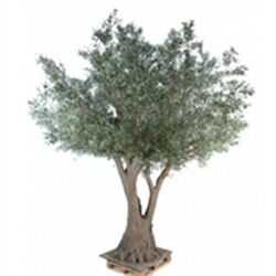 Pol BAUDRU à Tournai: avis de décès