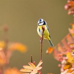 Jean LANOTTE à Les Bulles: avis de décès