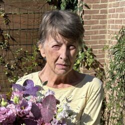 Claudine DEHENEFFE à Malonne: avis de décès