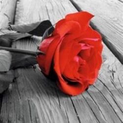 René GERARD à Musson: avis de décès