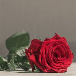 Jeanne WEYRICH à Arlon: avis de décès