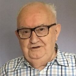 Albert LESTIENNE à Frasnes-Lez-Buissenal: avis de décès