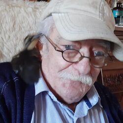 Marcel SIMONET-LEBOUTTE à Natoye: avis de décès