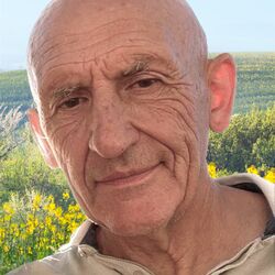 Domenico DE ACETIS à Bastogne: avis de décès