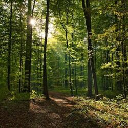 Gabriel BAIJOT à Bertrix (Assenois): avis de décès