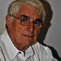 Gustave VERLAINE à Moha: avis de décès