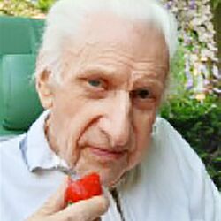 Gustave VIVIER à Jette: avis de décès