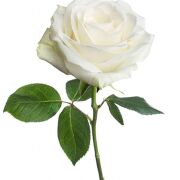 Marie-Thérèse PLANCHARD