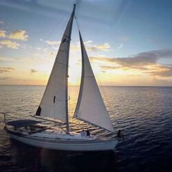 Michel PLATTEAU à Tournai: avis de décès