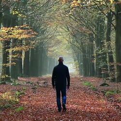 Albert GUEBELS à Bastogne: avis de décès