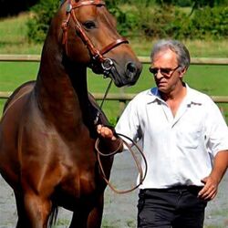 Jean DARTOIS à Fays-Les-Veneurs: avis de décès