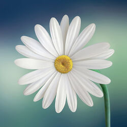 Danièle ADAM à Wellin: avis de décès