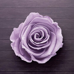 Claude ALARDOT à -: avis de décès