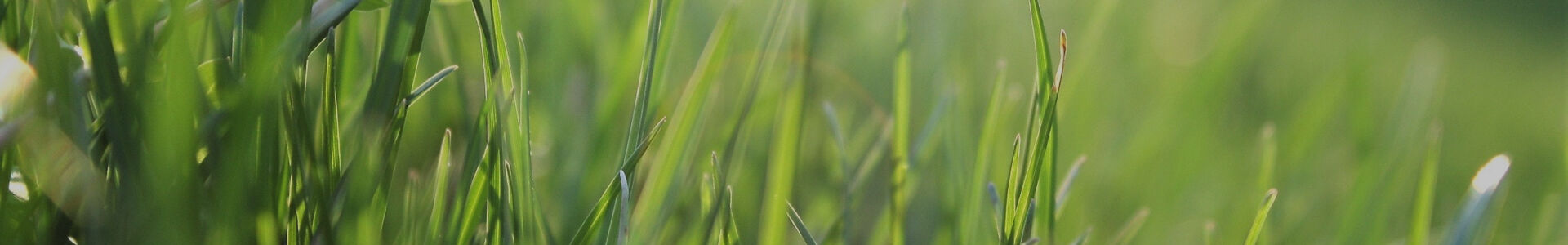 Funérarium Bressart : entreprise de pompes funèbres