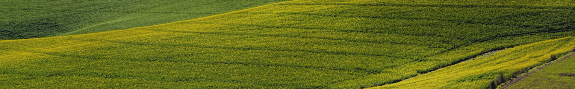 Centre Funéraire Delperdange (CF Pol Laffut & Heerwegh) : entreprise de pompes funèbres