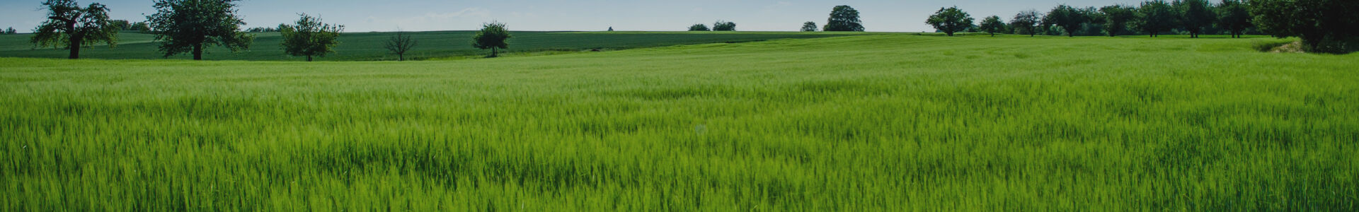 Funérailles MATHIEU B : entreprise de pompes funèbres