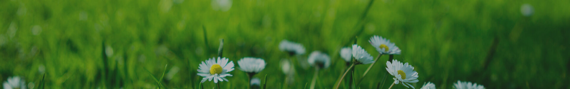 Centre Funéraire Delperdange (CF Pol Laffut & Heerwegh) : entreprise de pompes funèbres